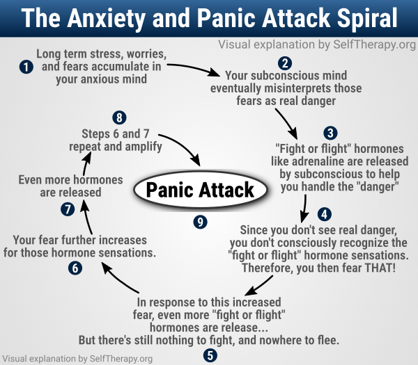 Image of anxiety and panic attack explanation